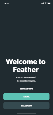 Feather prototype splash screen